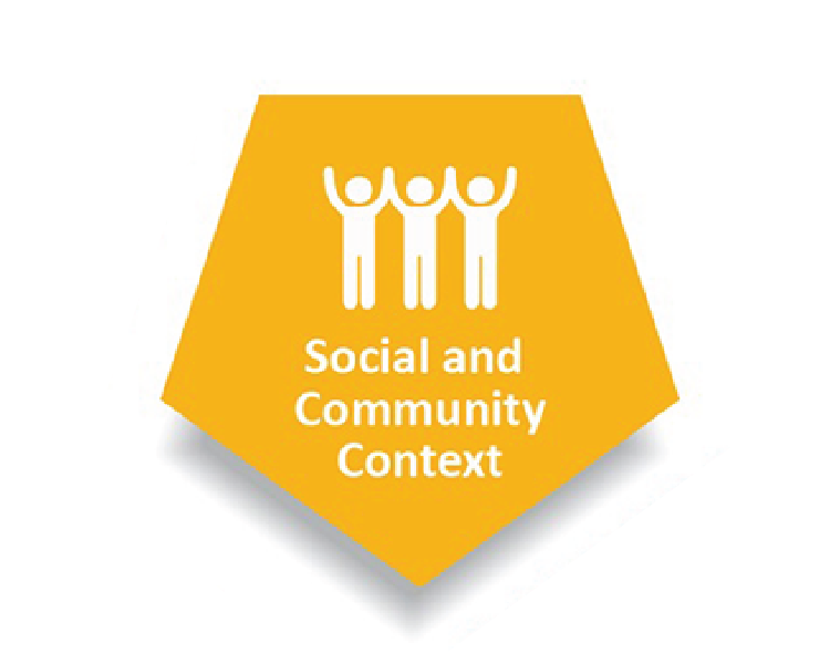 What are the Social Determinants of Health: Social and Community Context